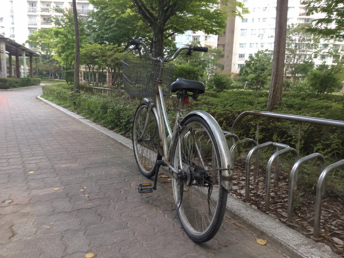 park-bicycle.png